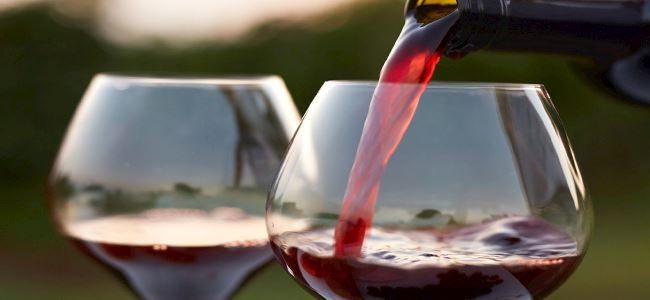Wine & Wags Package