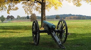 Battlefield and Beyond