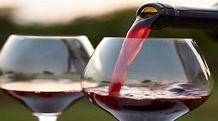 Wine & Wags package